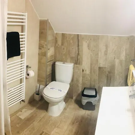 Vila Nona Apartment Sibiu Exterior foto